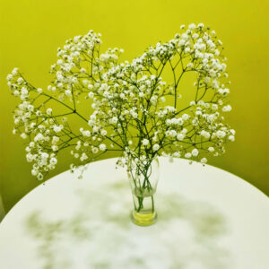 Hoa nội để bàn