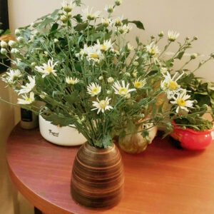 Hoa nội để bàn làm việc